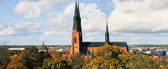 Barnvakt i Uppsala