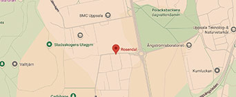 Barnpassning i Rosendal